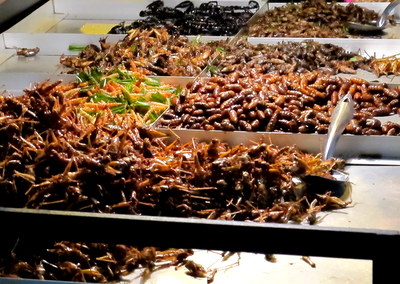 Insect cart Bangkok, Thailand