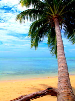 Beach on Derawan, Indonesia