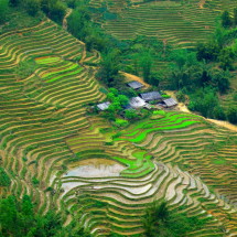 Sapa, Vietnam