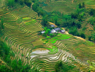 Sapa, Vietnam