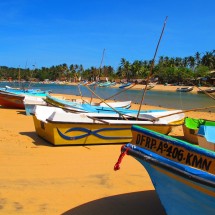 Arugam Bay, Sri Lanka