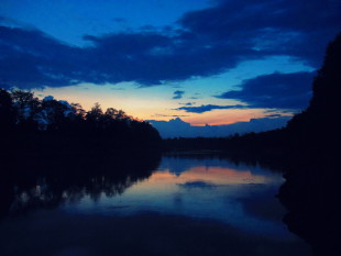 Kota Kinabatangan, Malaysia