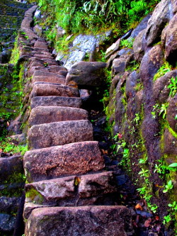 Machu Picchu, Peru Stairs to Huayna Picchu