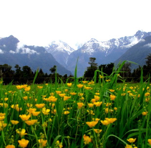 South Island, New Zealand