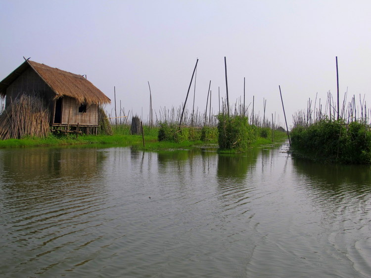 Floating Gardens Inle Lake, Myanmar