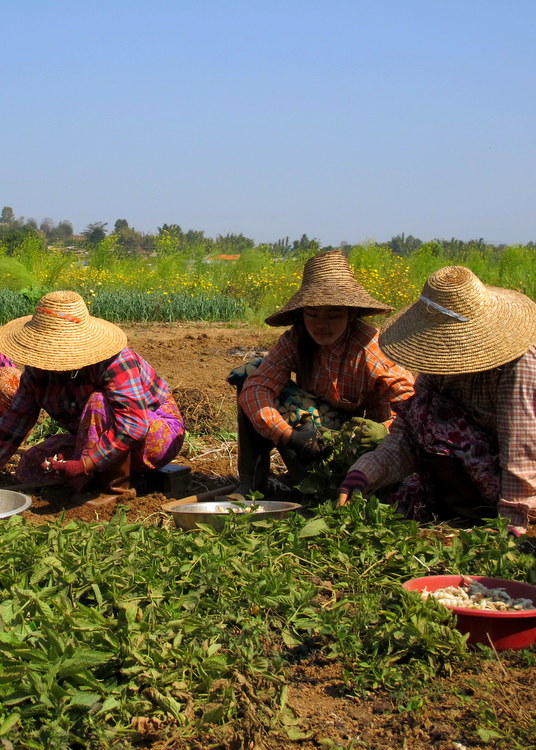 Ladies working hard