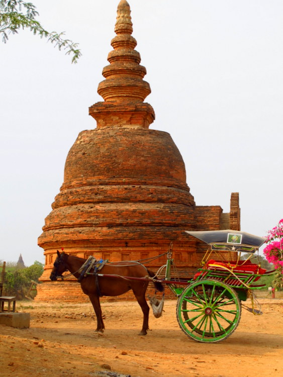 Horse carriage Bagan, Myanmar