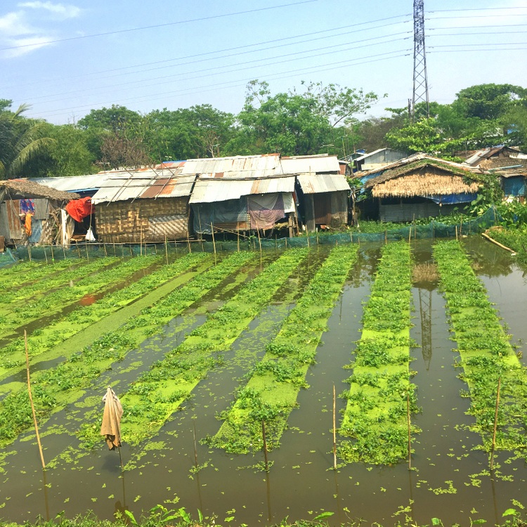 Yangon, Myanmar (10)